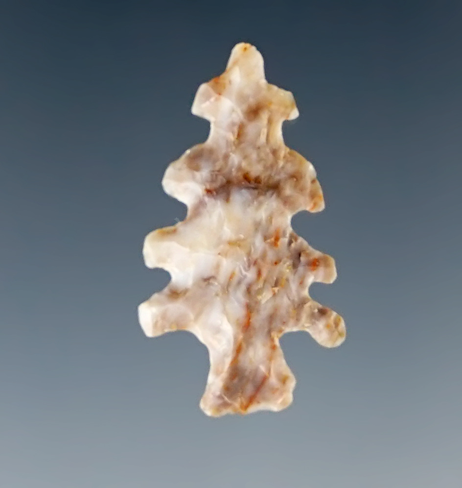 Main artifact image