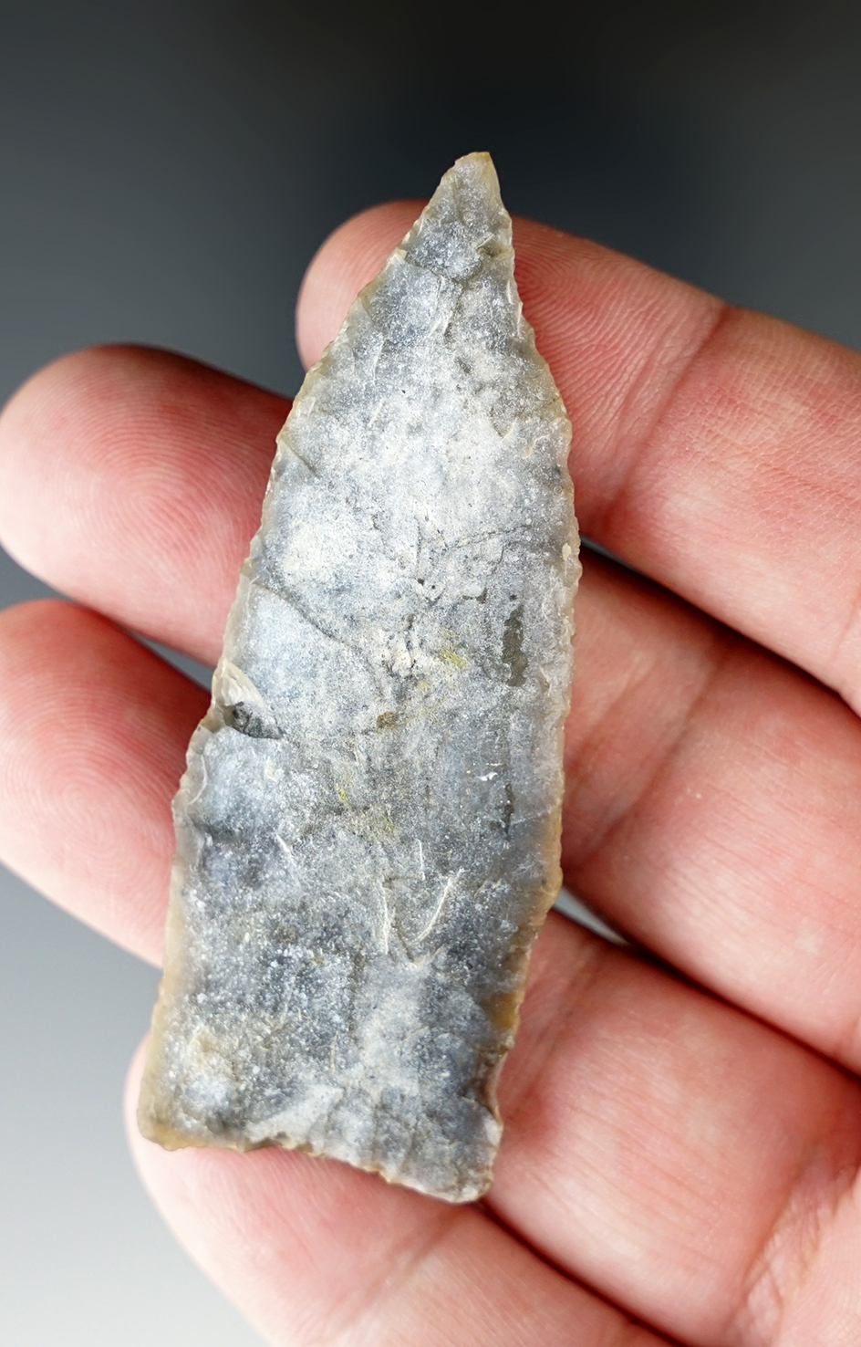 Main artifact image