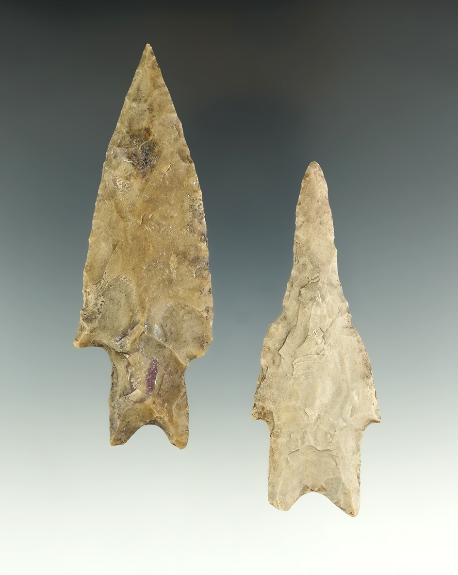 Main artifact image