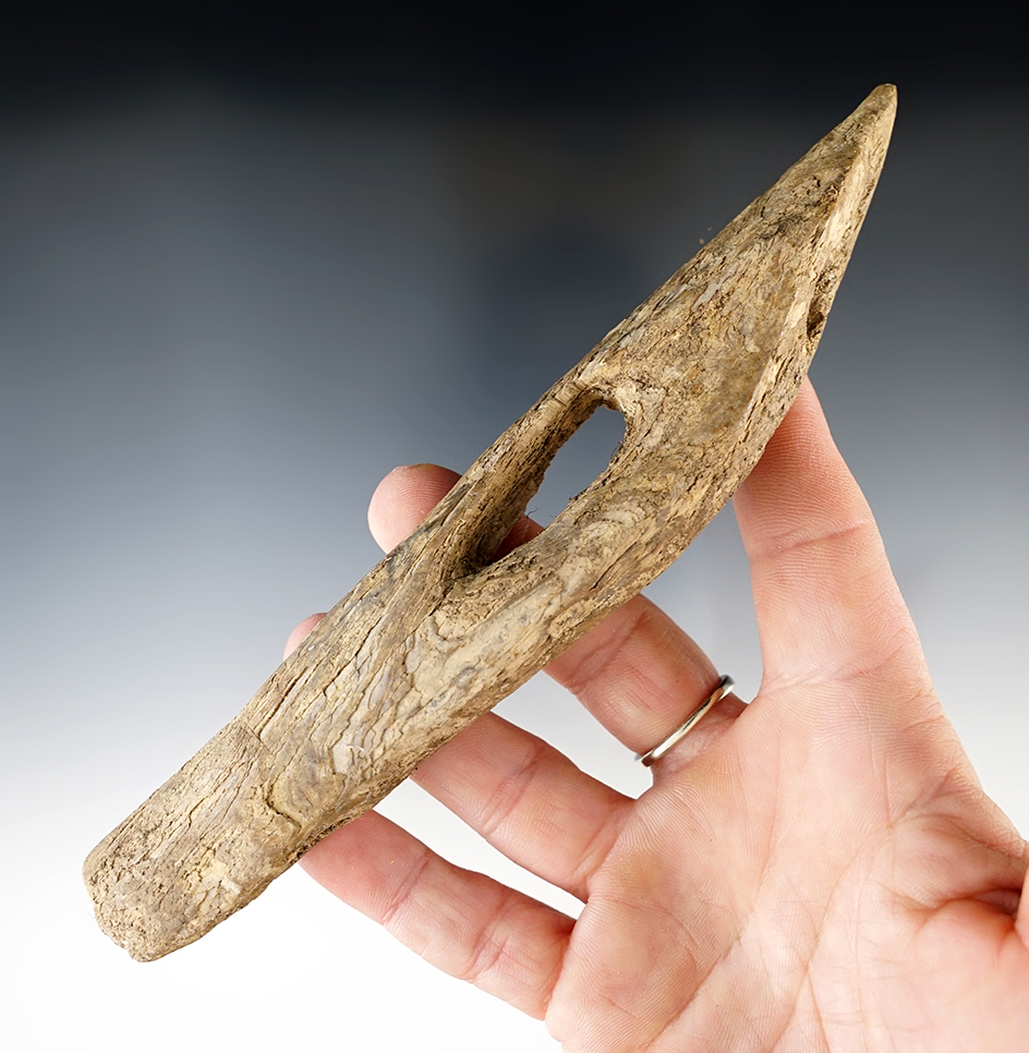 Main artifact image