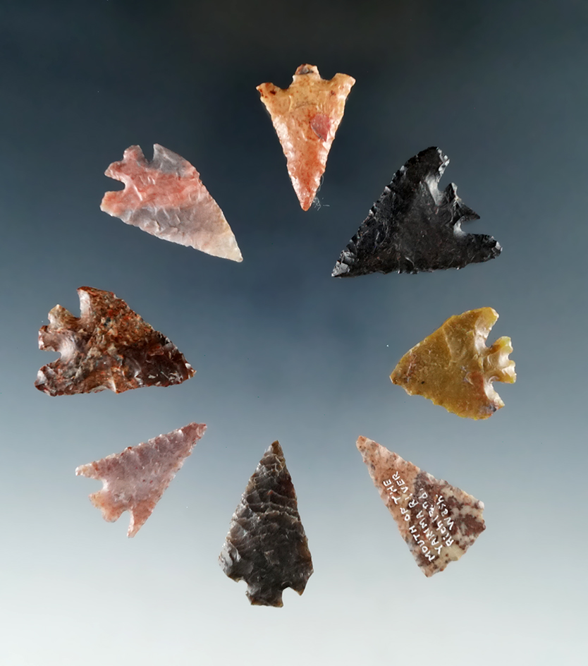 Group of eight Columbia River arrowheads found by Kaye Don Bruce in the 1960s, largest is 1".