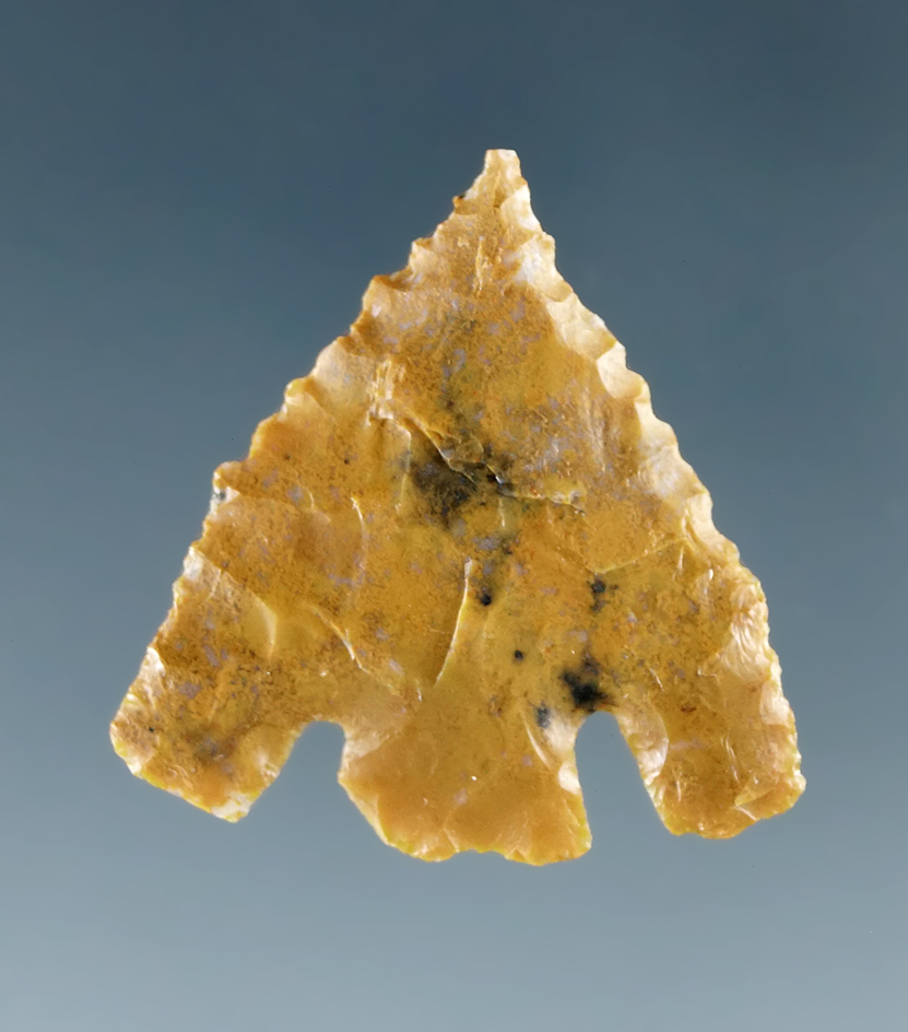 Main artifact image