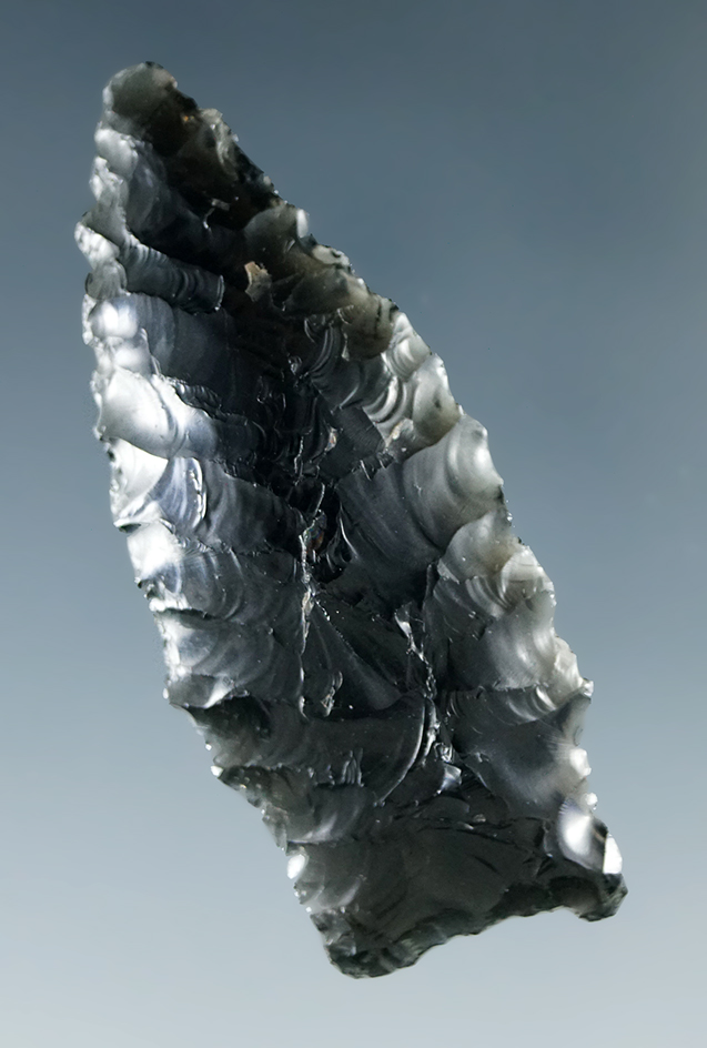 Main artifact image
