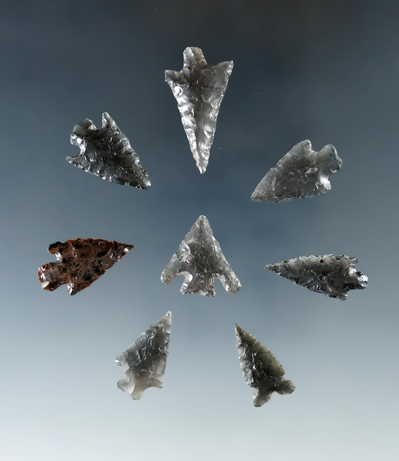 Main artifact image