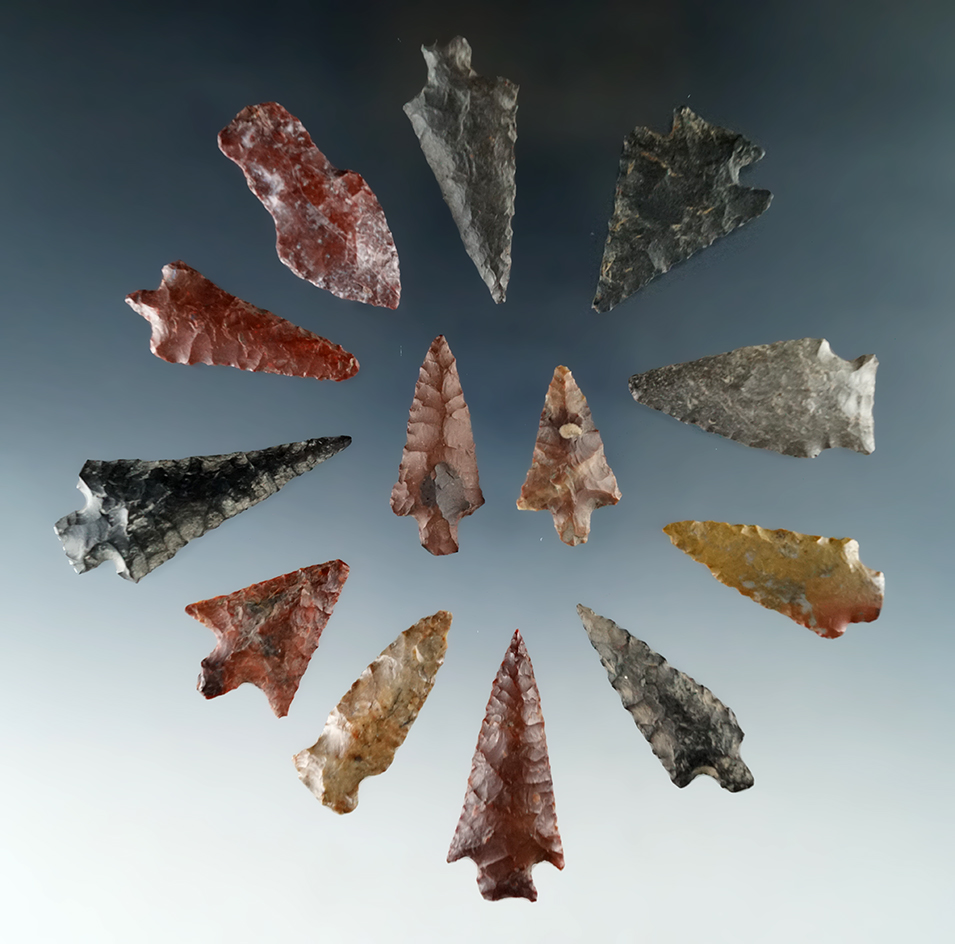 Nice group of 13 assorted arrowheads found near the Columbia River, largest is 1 3/4".