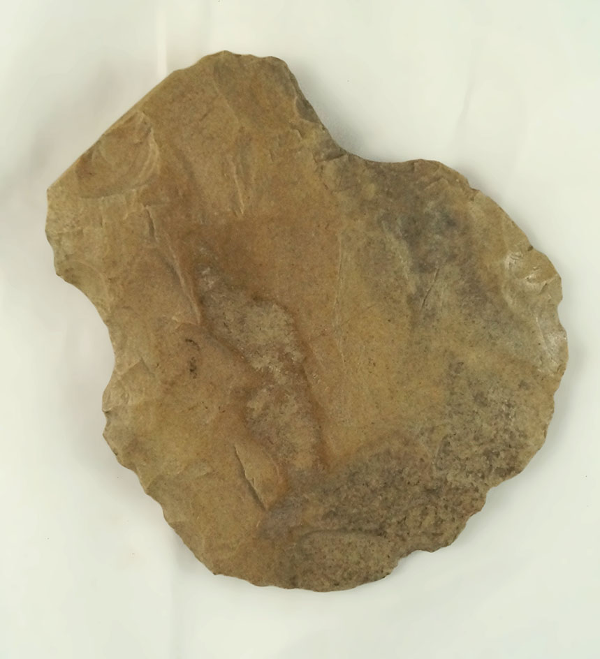 Main artifact image