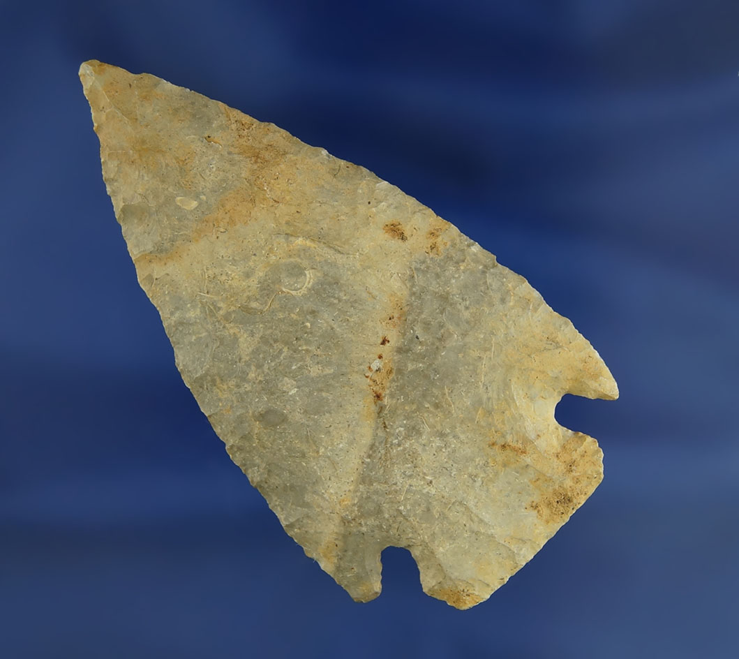Main artifact image