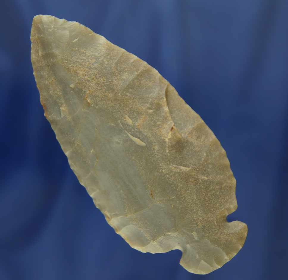 Main artifact image