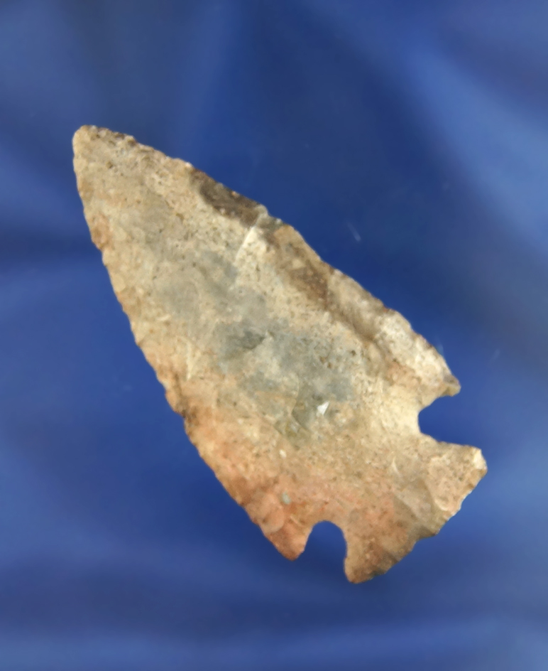 Main artifact image