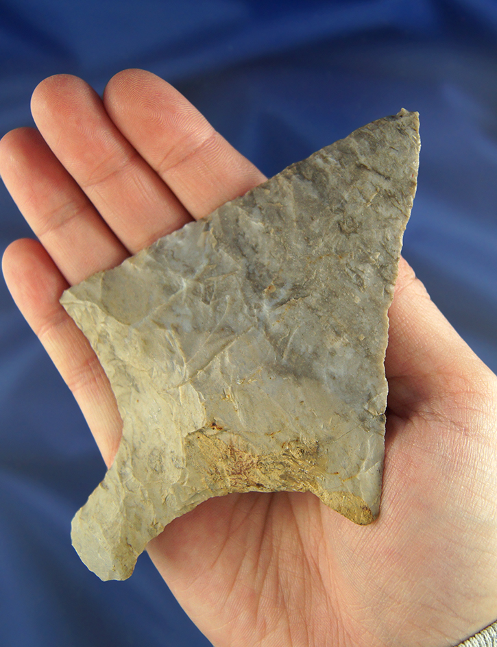 Main artifact image