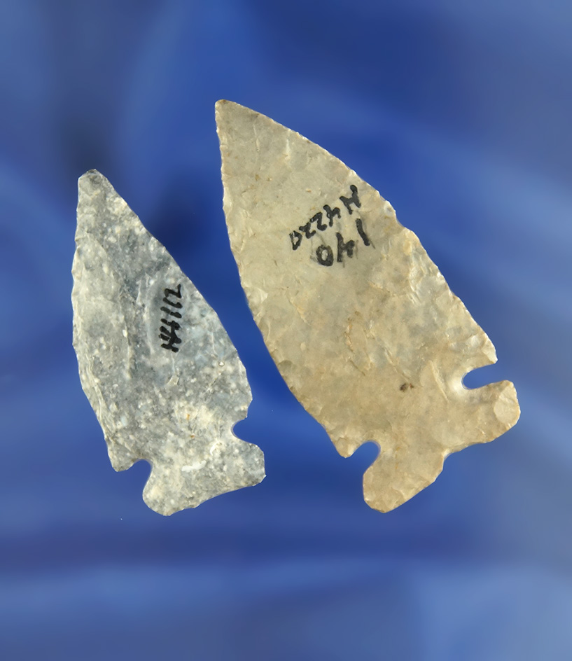 Main artifact image