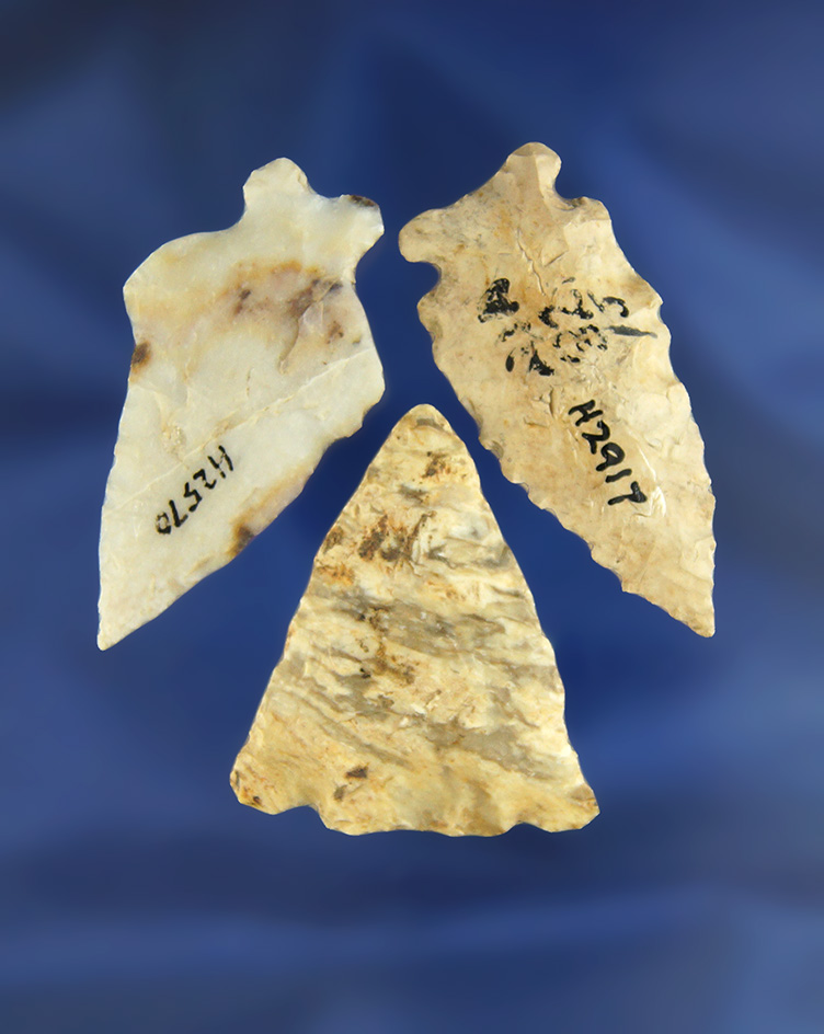 Main artifact image