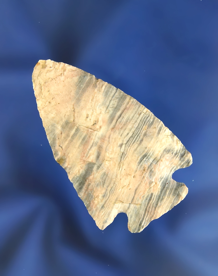 Main artifact image