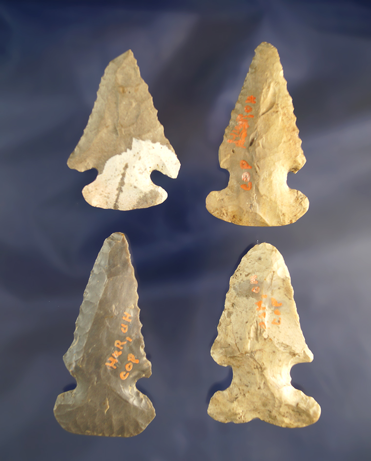 Set of 4 Archaic Bevels found in Huron Co., Ohio, largest is 2 5/8".