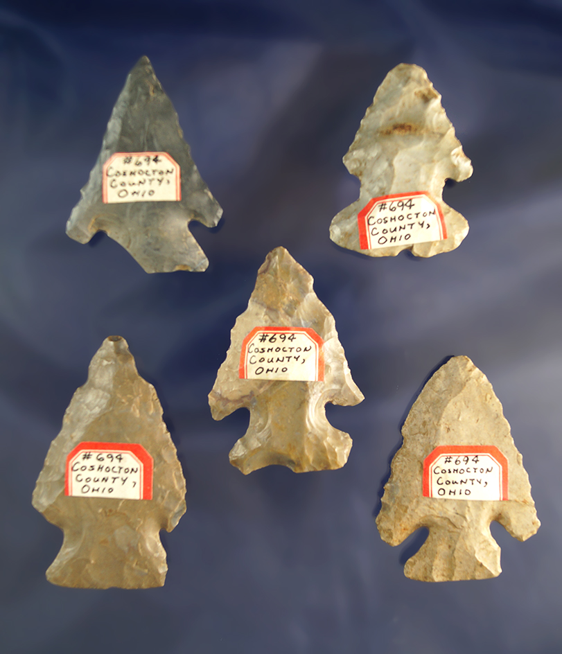 Set of five Archaic Bevels found in Coshocton Co.,  Ohio, largest is 2 3/8".
