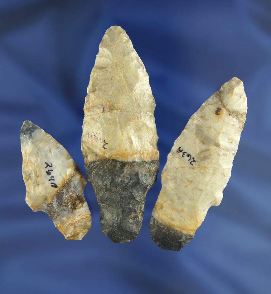 Main artifact image