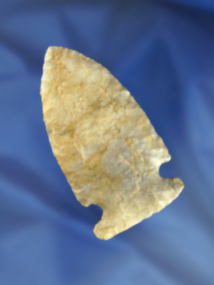 Main artifact image