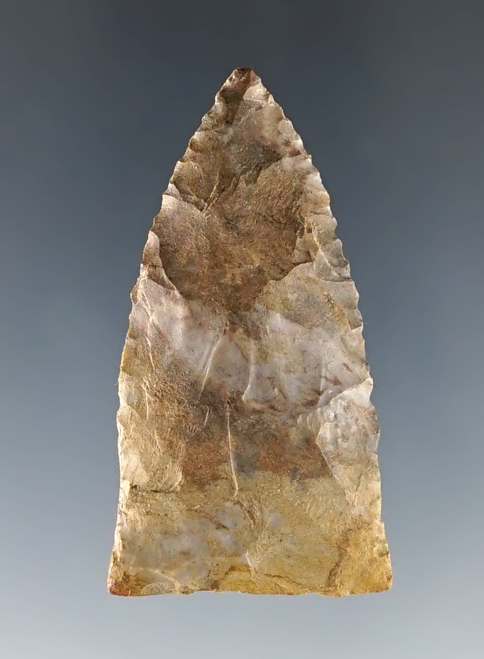 Main artifact image