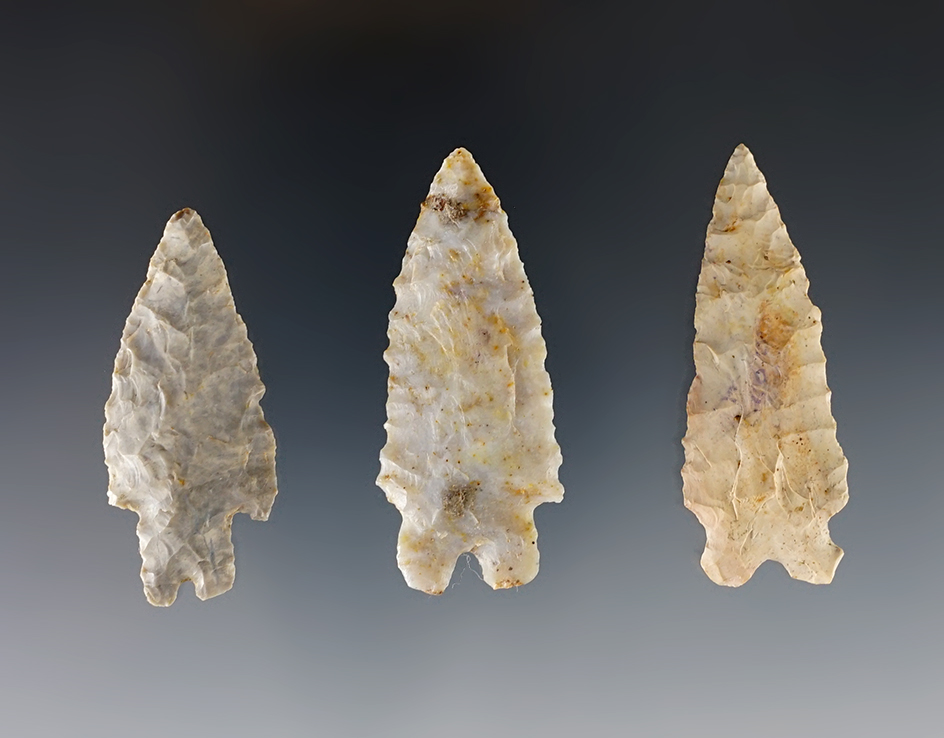 Three Archaic Bifurcates from various counties in Ohio. Nice, thin example. Largest is 2 1/16".