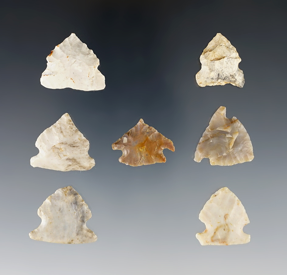 Set of 7 finely made Ohio Broad Base Dart Points. The largest is7/8".