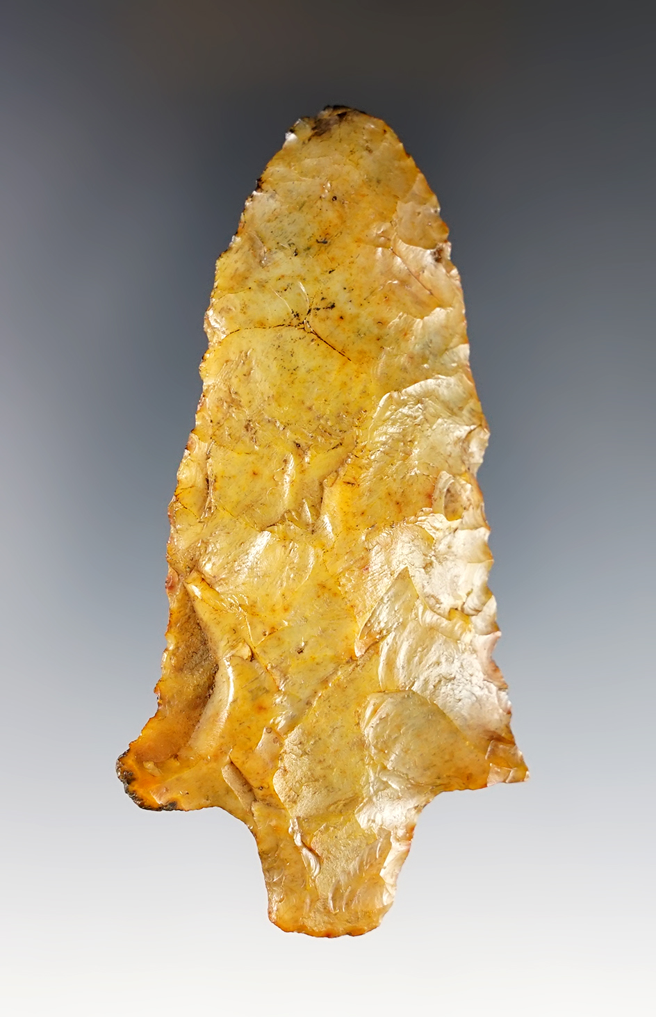 Main artifact image