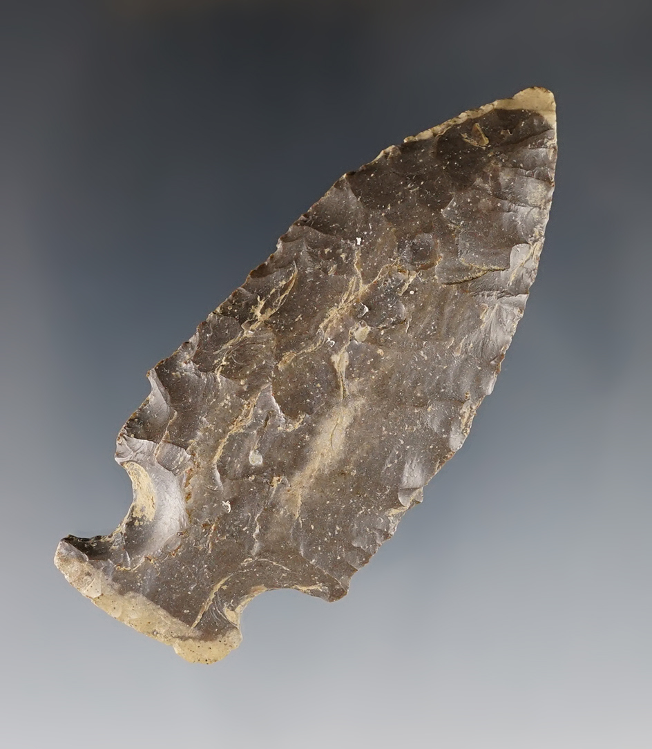 3 3/16" Archaic Fishspear Point made of exotic colored Delaware Chert. Nice example - Ohio.
