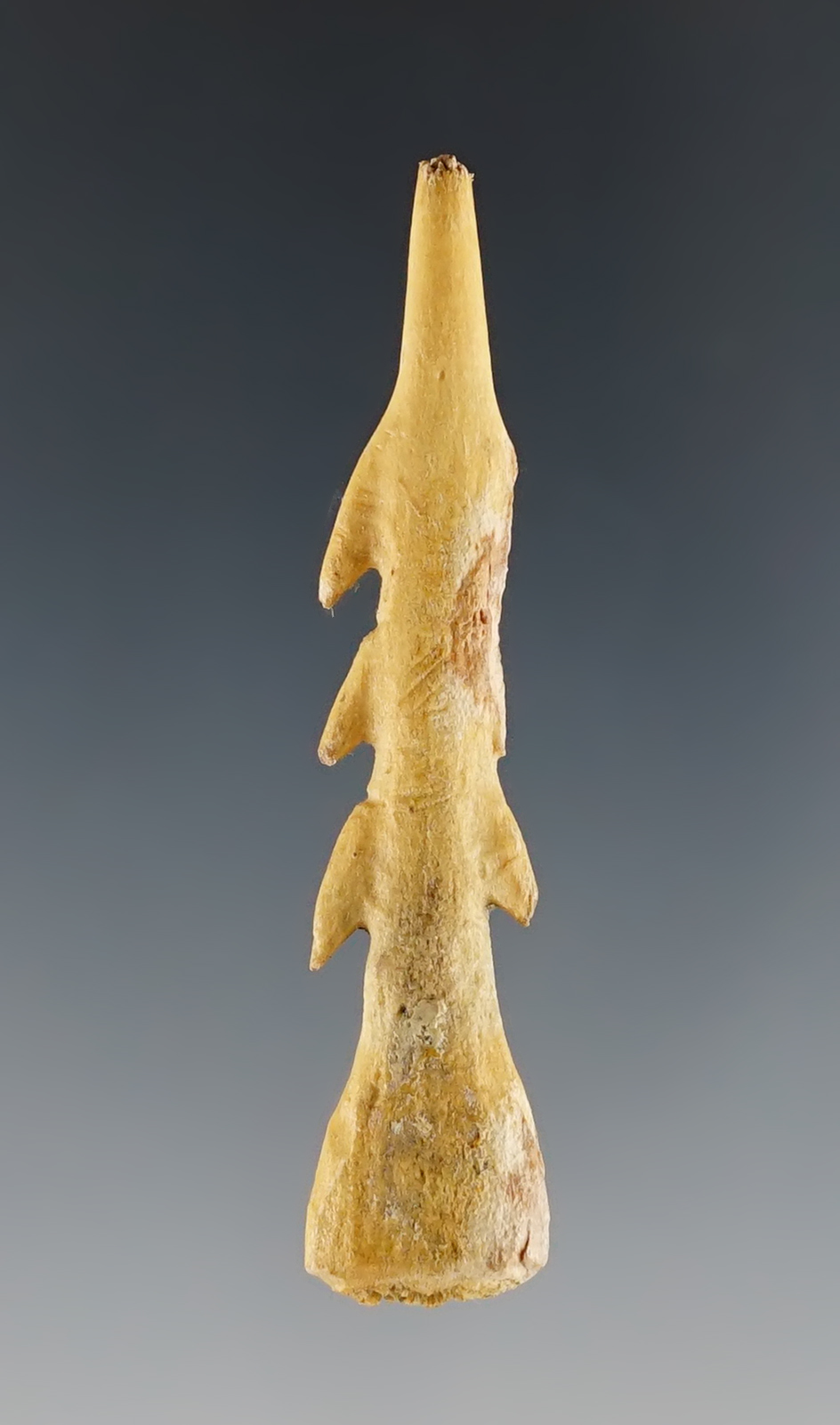 Main artifact image