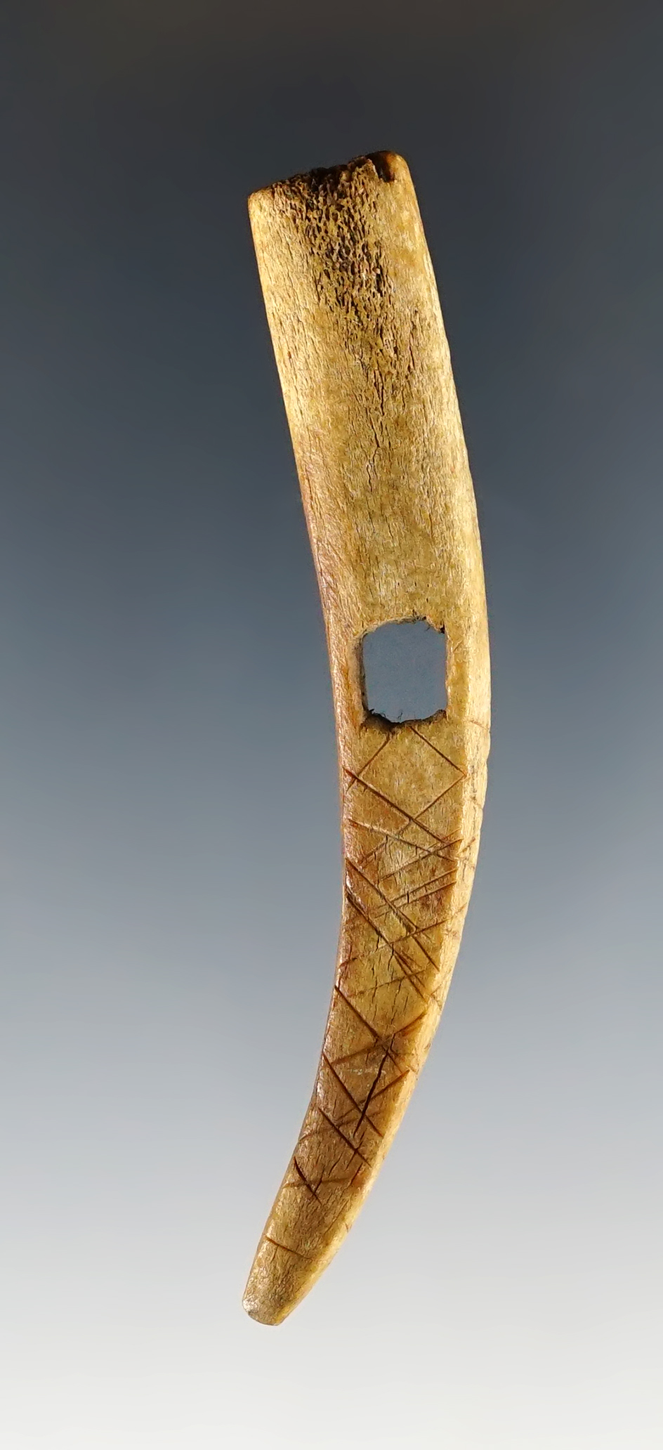 Main artifact image