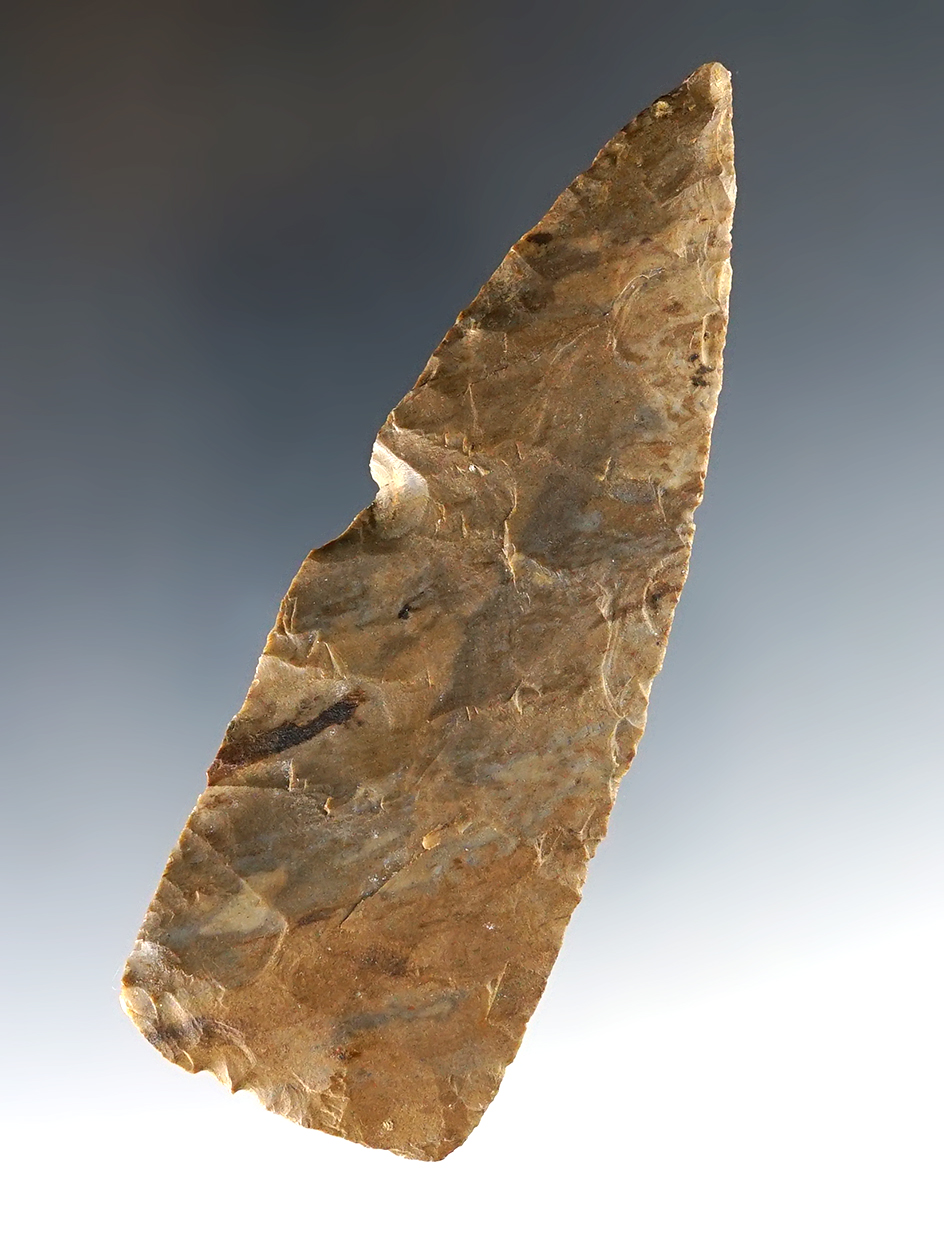 Main artifact image