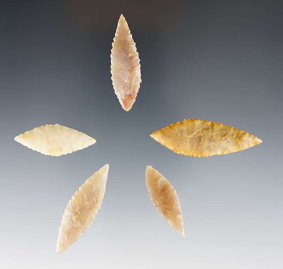 Main artifact image