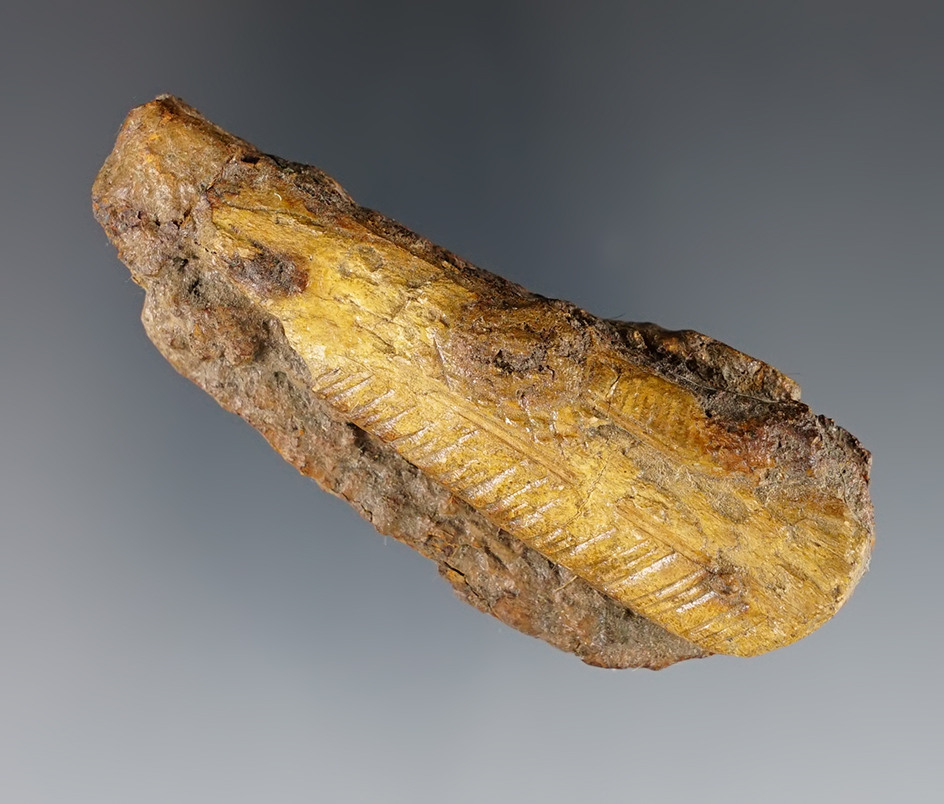 Main artifact image