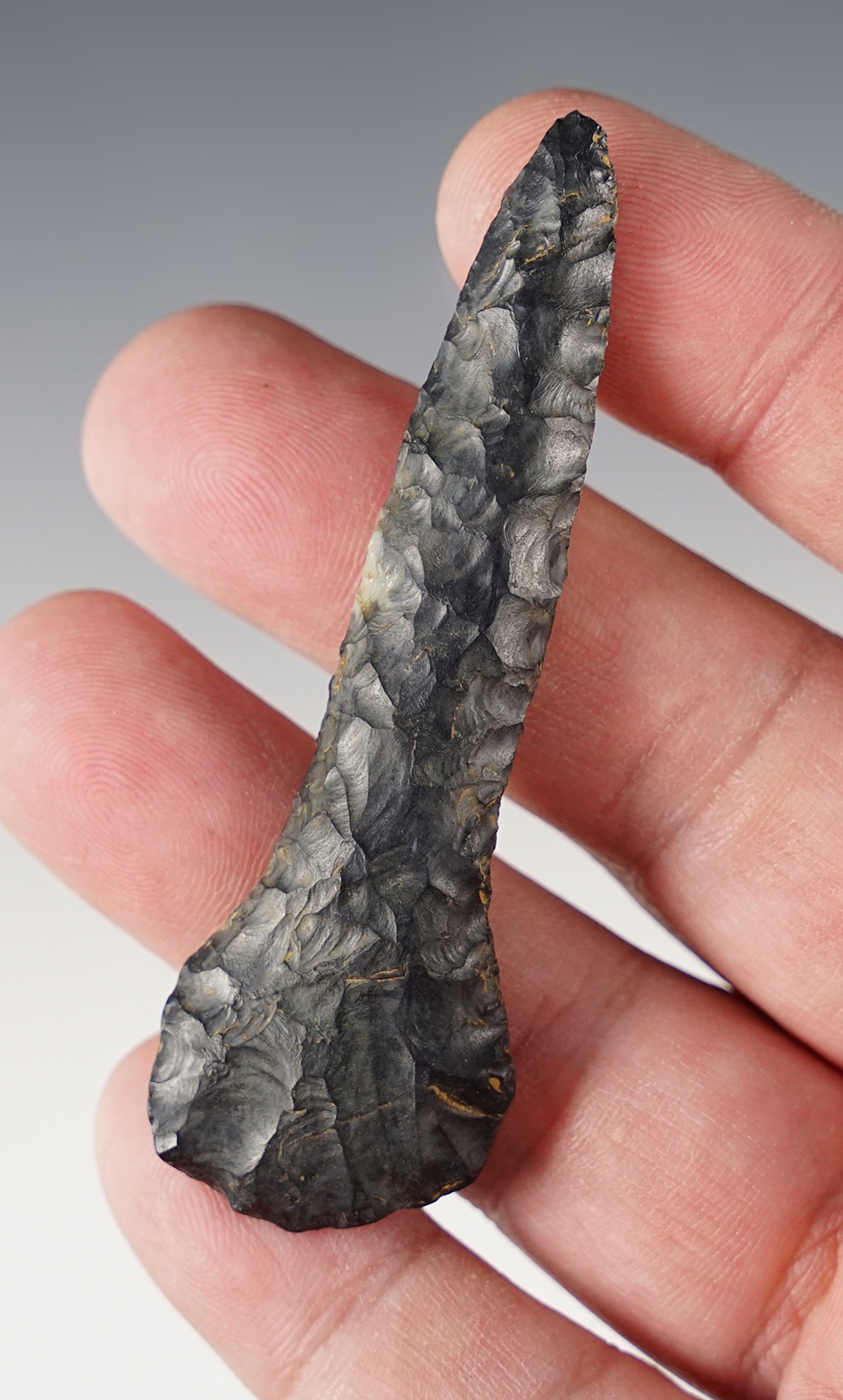 Main artifact image