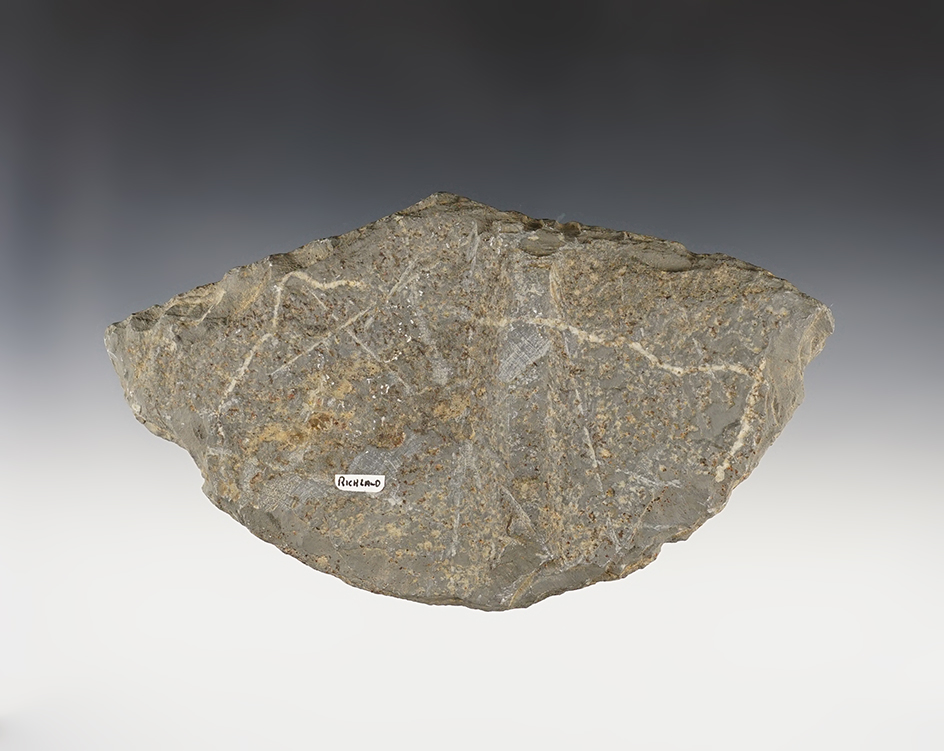 Main artifact image