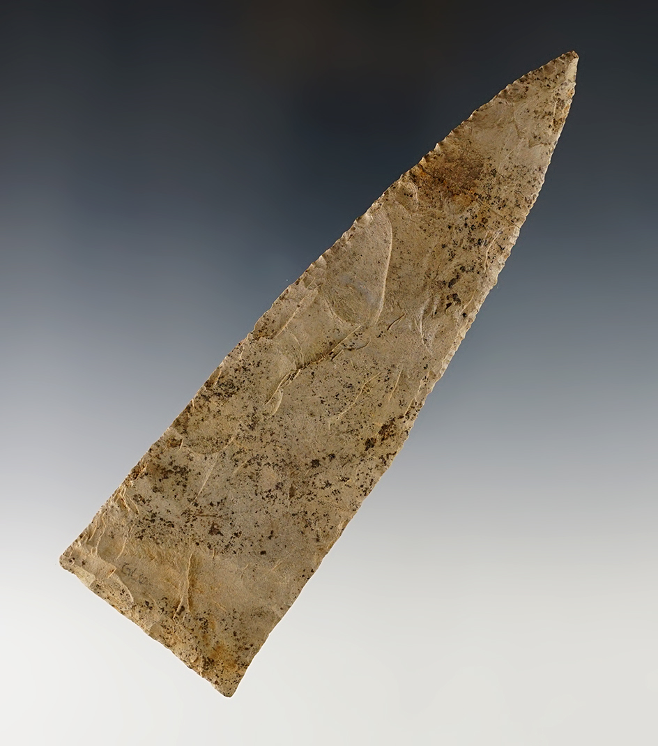 Main artifact image