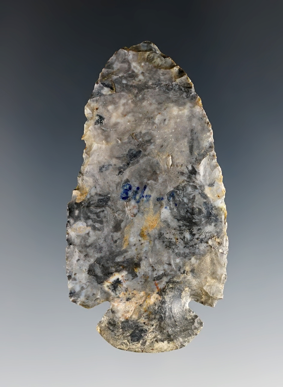 2 11/16" Coshocton Dovetail found in Hardin Co., Ohio.