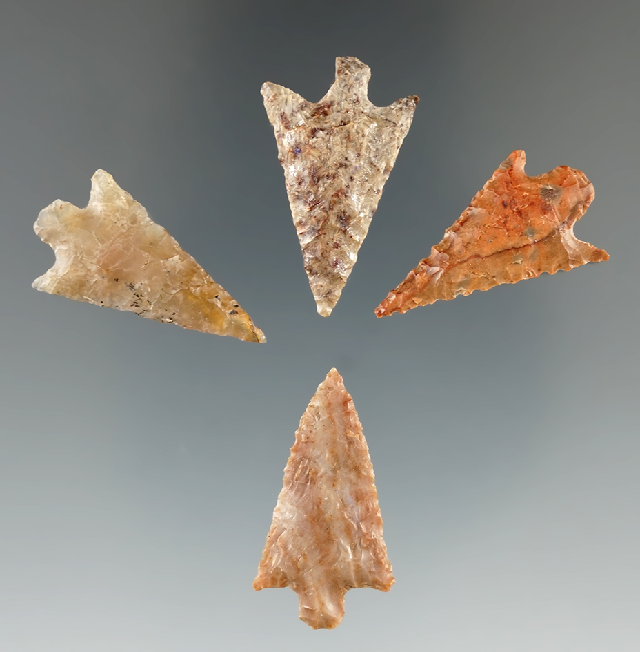 Four very nice Columbia Plateau and Walulla points found near the Columbia River.