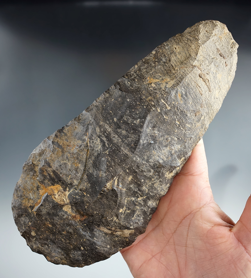 Main artifact image