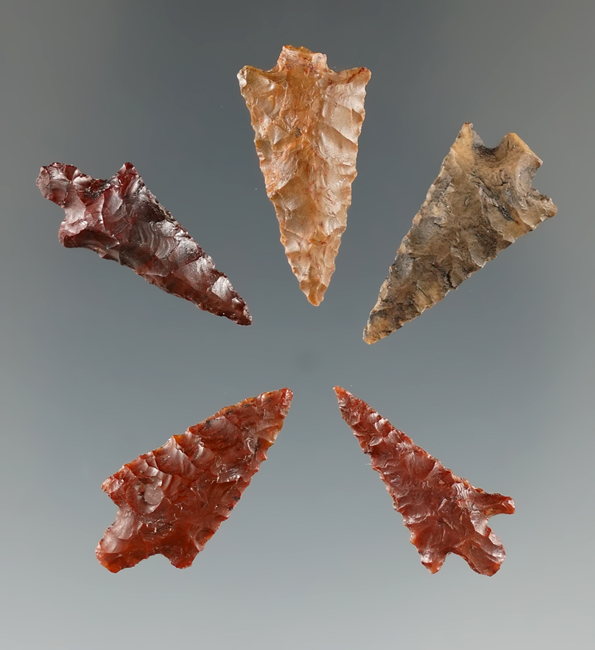 Set of five nicely made Columbia River Gem points, largest is 15/16".