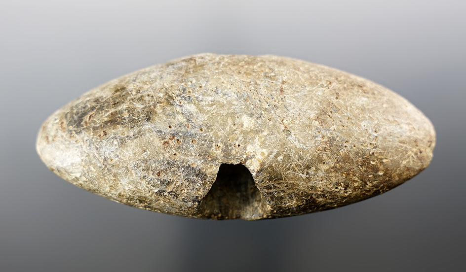 Main artifact image