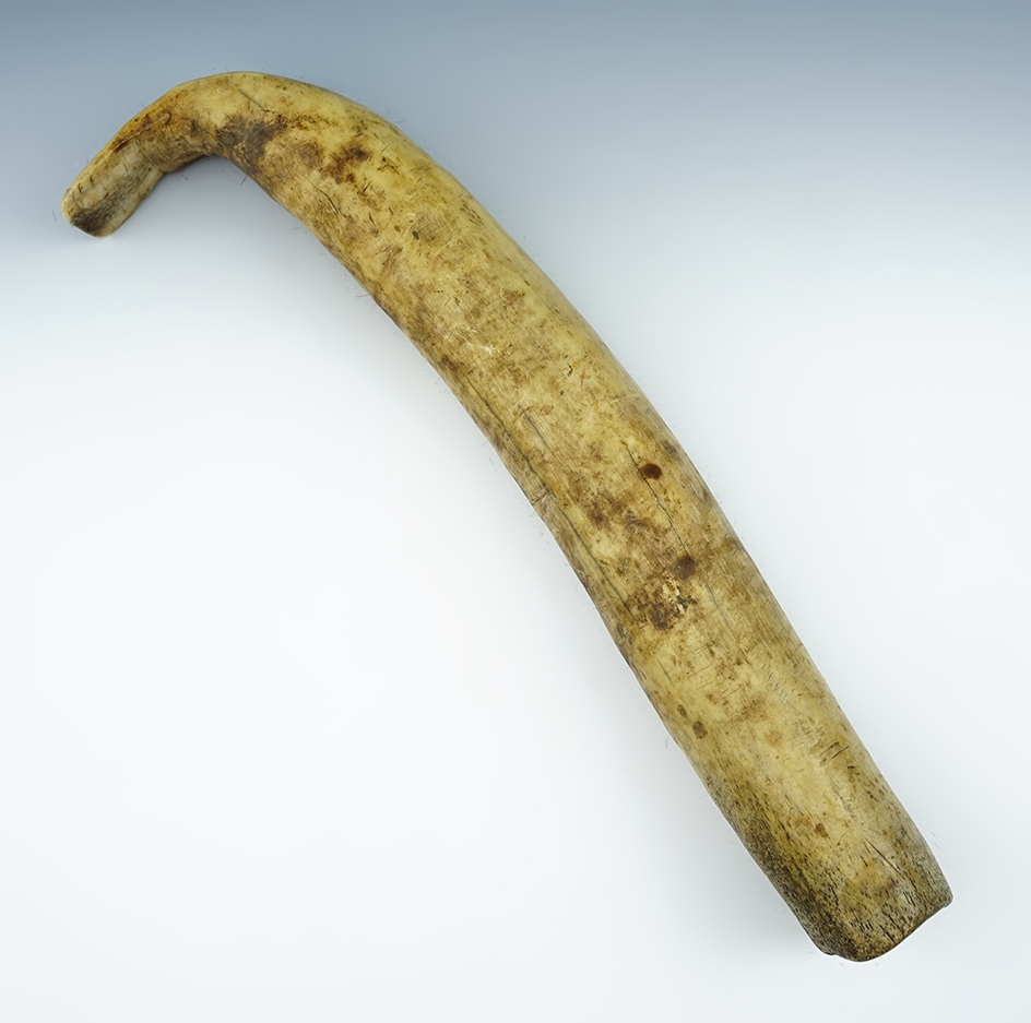 Main artifact image