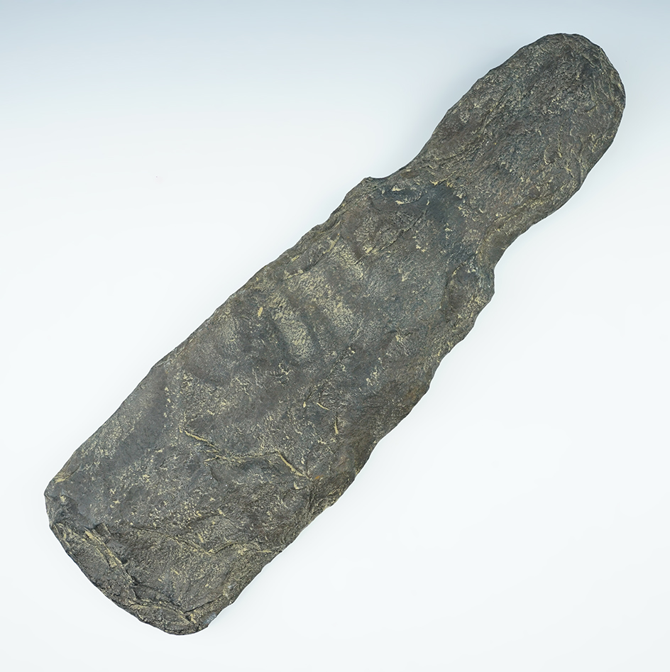 Main artifact image