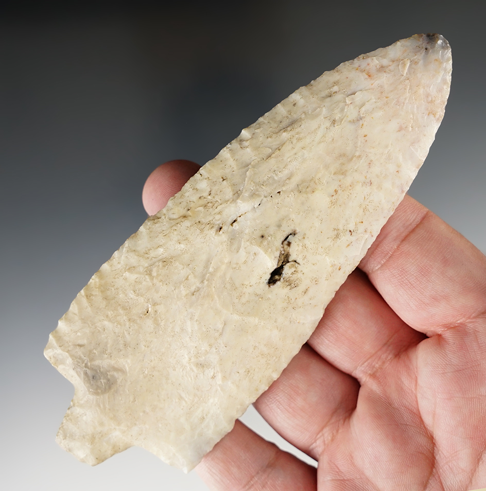 Main artifact image