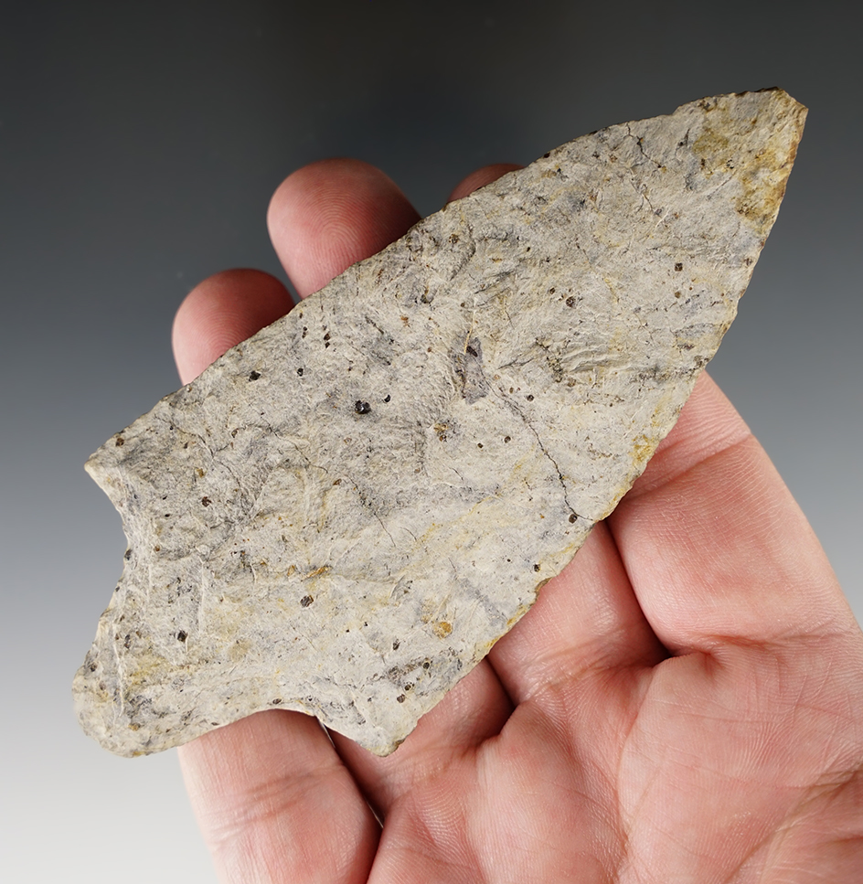 Main artifact image