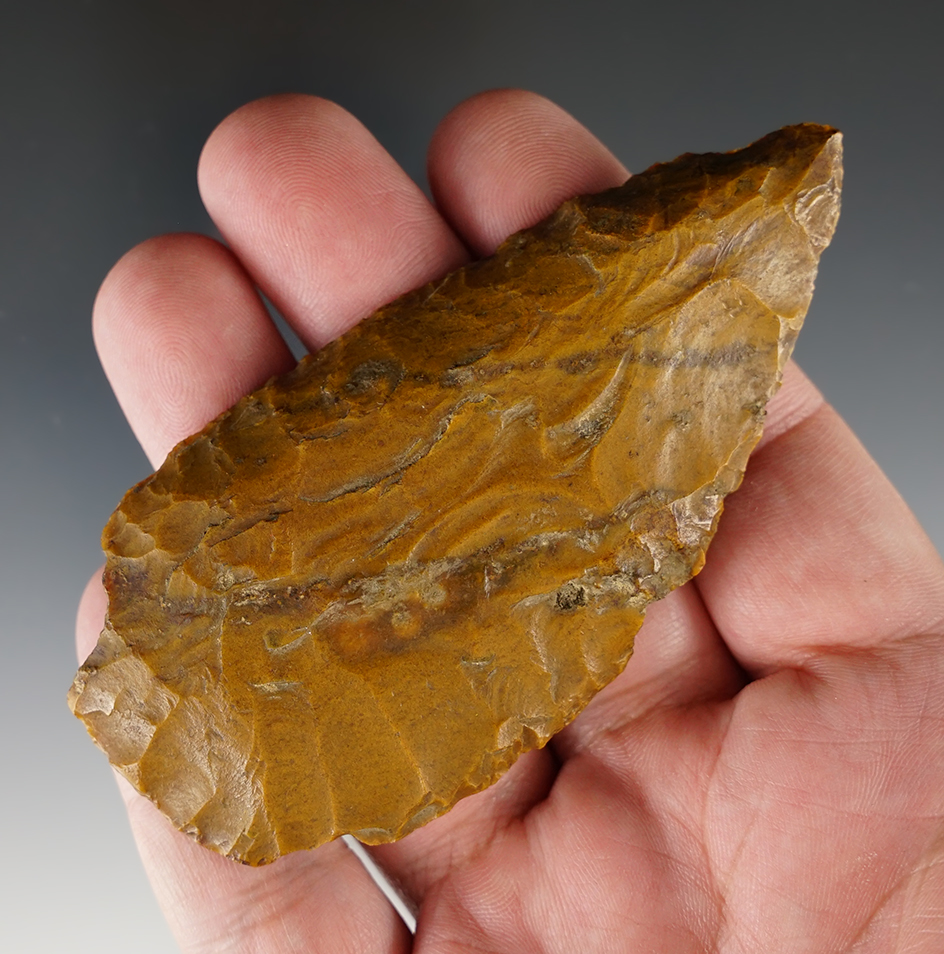 Main artifact image