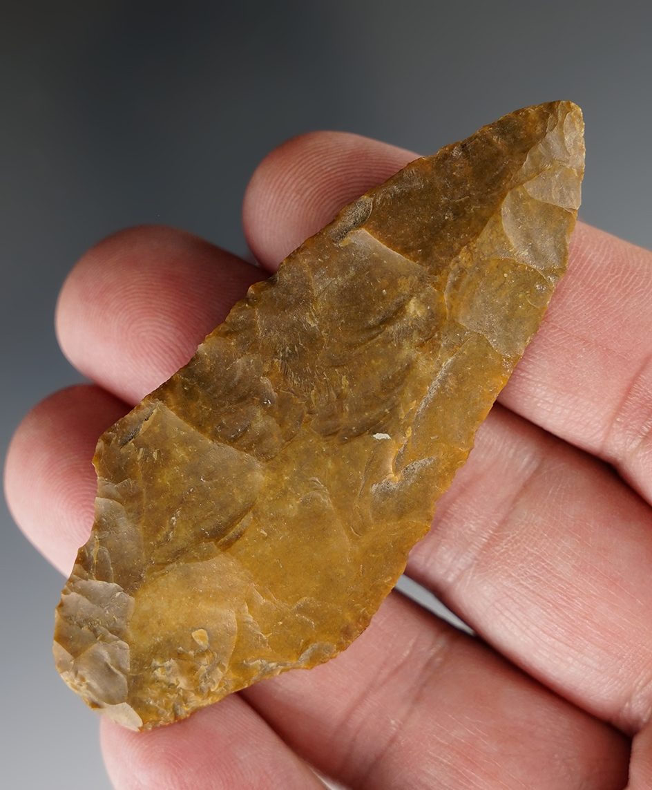 Main artifact image