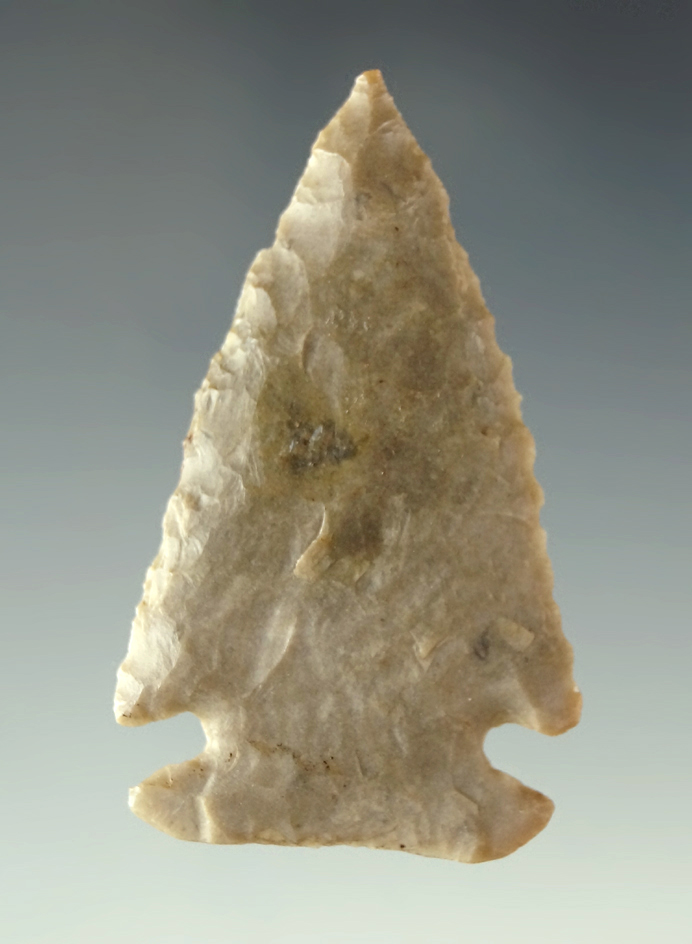 Main artifact image