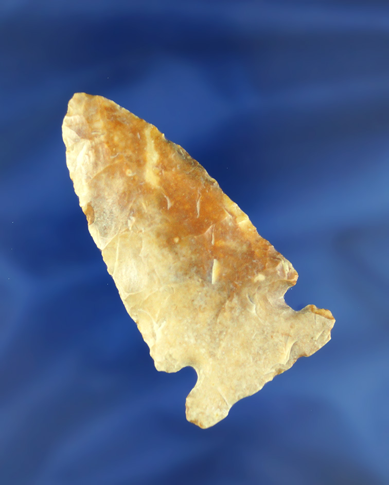 Main artifact image