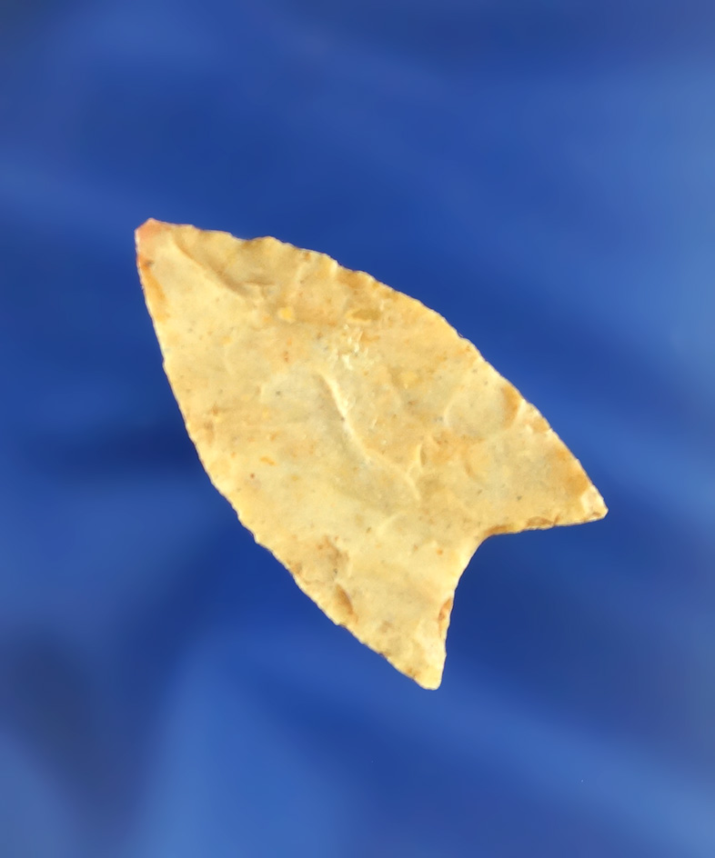 Main artifact image