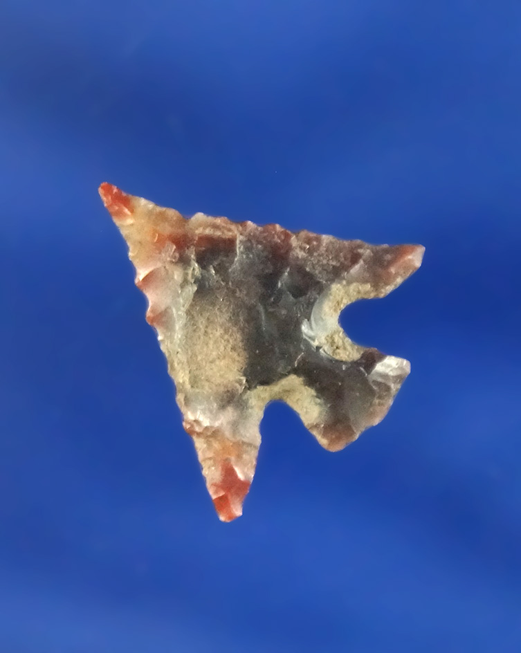 Main artifact image