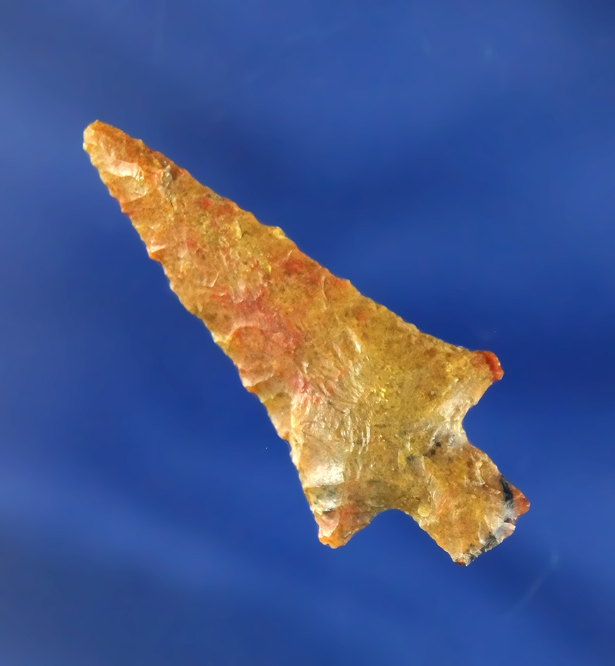 Main artifact image